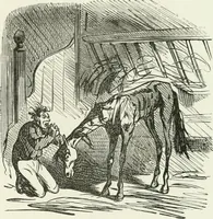 Picture 326 of 736 from Cham (1853), leaf 180