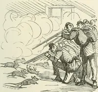 Picture 404 of 736 from Cham (1853), leaf 224