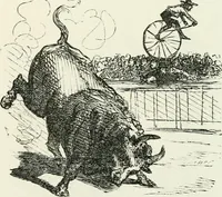 Picture 421 of 736 from Cham (1853), leaf 232