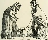 Picture 35 of 736 from Cham (1853), leaf 24