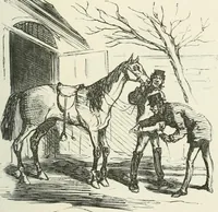 Picture 455 of 736 from Cham (1853), leaf 252