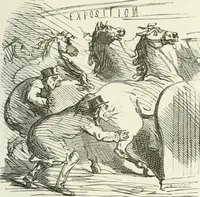 Picture 457 of 736 from Cham (1853), leaf 254