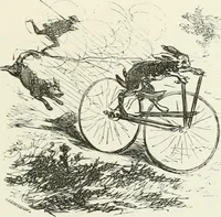 Picture 497 of 736 from Cham (1853), leaf 274