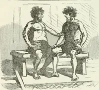 Picture 503 of 736 from Cham (1853), leaf 278