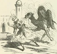 Picture 559 of 736 from Cham (1853), leaf 308