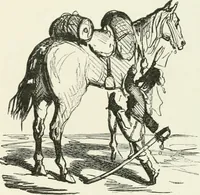 Picture 583 of 736 from Cham (1853), leaf 320
