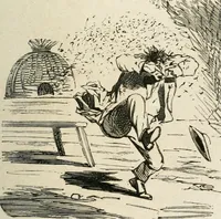 An illustration from Cham (1853)