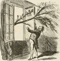 An illustration from Cham (1853)