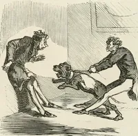 An illustration from Cham (1853)