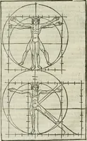 An illustration from Champ fleury : au quel est contenu lart & science de la deue & vraye proportio[n] des lettres attiques, quo[n] dit autreme[n]t lettres antiques, & vulgairement lettres romaines proportionnes selon le corps & visage humain ... (1529)