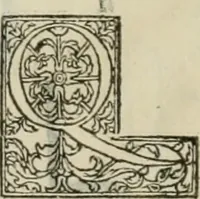 Picture 84 of 87 from Champ fleury : au quel est contenu lart & science de la deue & vraye proportio[n] des lettres attiques, quo[n] dit autreme[n]t lettres antiques, & vulgairement lettres romaines proportionnes selon le corps & visage humain ... (1529), leaf 175