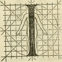 An illustration from Champ fleury : au quel est contenu lart & science de la deue & vraye proportio[n] des lettres attiques, quo[n] dit autreme[n]t lettres antiques, & vulgairement lettres romaines proportionnes selon le corps & visage humain ... (1529)