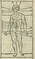 An illustration from Champ fleury : au quel est contenu lart & science de la deue & vraye proportio[n] des lettres attiques, quo[n] dit autreme[n]t lettres antiques, & vulgairement lettres romaines proportionnes selon le corps & visage humain ... (1529)