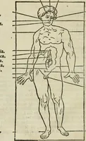 An illustration from Champ fleury : au quel est contenu lart & science de la deue & vraye proportio[n] des lettres attiques, quo[n] dit autreme[n]t lettres antiques, & vulgairement lettres romaines proportionnes selon le corps & visage humain ... (1529)