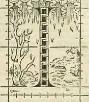 An illustration from Champ fleury : au quel est contenu lart & science de la deue & vraye proportio[n] des lettres attiques, quo[n] dit autreme[n]t lettres antiques, & vulgairement lettres romaines proportionnes selon le corps & visage humain ... (1529)