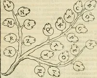 An illustration from Champ fleury : au quel est contenu lart & science de la deue & vraye proportio[n] des lettres attiques, quo[n] dit autreme[n]t lettres antiques, & vulgairement lettres romaines proportionnes selon le corps & visage humain ... (1529)