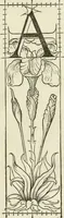 Picture 38 of 87 from Champ fleury : au quel est contenu lart & science de la deue & vraye proportio[n] des lettres attiques, quo[n] dit autreme[n]t lettres antiques, & vulgairement lettres romaines proportionnes selon le corps & visage humain ... (1529), leaf 78