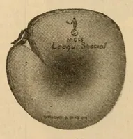 An illustration from Championship records (1912)