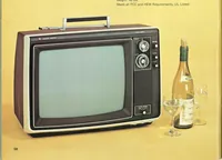 An illustration from Channel Master Electronics 1974 (1973)
