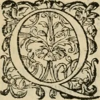 An illustration from Chant d'allegresse : povr l'entree de tres-chrestien, treshavlt, trespvissant, tresexcellent, tresmagnanime, & tresuictorieus prince Charles ix. de ce nom, roi de France, en sa ville de Troïe (1564)