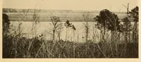 Picture 8 of 18 from Chapters on the ethnology of the Powhatan tribes of Virginia (1928), leaf 115