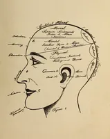 An illustration from Character analysis, text booklet and self instructor (1916)