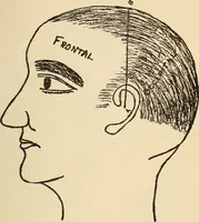 An illustration from Character analysis in condensed form (1919)