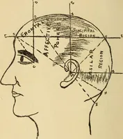 Picture 5 of 25 from Character analysis in condensed form (1919), leaf 29