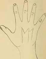 Picture 16 of 25 from Character analysis in condensed form (1919), leaf 67