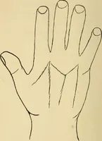 Picture 18 of 25 from Character analysis in condensed form (1919), leaf 71
