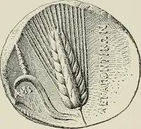 Picture 101 of 144 from Character of renaissance architecture (1905), leaf 213