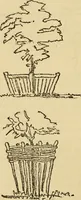 Picture 26 of 110 from Charles Eliot, landscape architect, a lover of nature and of his kind, who trained himself for a new profession, practised it happily and through it wrought much good (1902), leaf 169