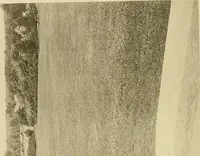 Picture 41 of 110 from Charles Eliot, landscape architect, a lover of nature and of his kind, who trained himself for a new profession, practised it happily and through it wrought much good (1902), leaf 263