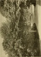 An illustration from Charles Eliot, landscape architect, a lover of nature and of his kind, who trained himself for a new profession, practised it happily and through it wrought much good (1902)