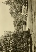 Picture 63 of 110 from Charles Eliot, landscape architect, a lover of nature and of his kind, who trained himself for a new profession, practised it happily and through it wrought much good (1902), leaf 357