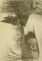 Picture 68 of 110 from Charles Eliot, landscape architect, a lover of nature and of his kind, who trained himself for a new profession, practised it happily and through it wrought much good (1902), leaf 368