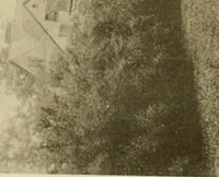 Picture 71 of 110 from Charles Eliot, landscape architect, a lover of nature and of his kind, who trained himself for a new profession, practised it happily and through it wrought much good (1902), leaf 370