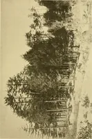 An illustration from Charles Eliot, landscape architect, a lover of nature and of his kind, who trained himself for a new profession, practised it happily and through it wrought much good (1902)