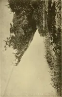 Picture 79 of 110 from Charles Eliot, landscape architect, a lover of nature and of his kind, who trained himself for a new profession, practised it happily and through it wrought much good (1902), leaf 443