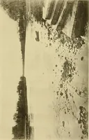 Picture 91 of 110 from Charles Eliot, landscape architect, a lover of nature and of his kind, who trained himself for a new profession, practised it happily and through it wrought much good (1902), leaf 646
