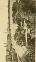Picture 93 of 110 from Charles Eliot, landscape architect, a lover of nature and of his kind, who trained himself for a new profession, practised it happily and through it wrought much good (1902), leaf 704