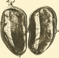 An illustration from Charles Hercules Read; a tribute on his retirement from the British museum and a record of the chief additions to the Department of British and mediaeval antiquities and ethnography during his keepership, 1896-1921 (1921)