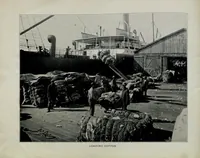 Picture 16 of 16 from Charleston and its Exposition (1902), leaf 48