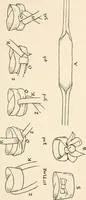 An illustration from Chats on costume (1906)