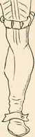 An illustration from Chats on costume (1906)