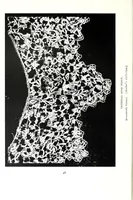 Picture 2 of 18 from Chats on old lace and needlework (1908), leaf 54