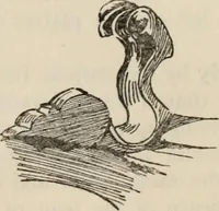 An illustration from Chats on old pewter (1911)