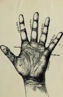 An illustration from Cheiro's language of the hand : complete practical work on the sciences of cheirognomy and cheiromancy, containing the system, rules, and experience of Cheiro [pseud.] fifty-five full-page illustrations, and over two hundred engravings of lines, mounts, and marks (1900)