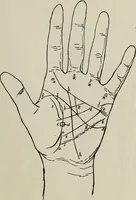 An illustration from Cheiro's language of the hand : complete practical work on the sciences of cheirognomy and cheiromancy, containing the system, rules, and experience of Cheiro [pseud.] fifty-five full-page illustrations, and over two hundred engravings of lines, mounts, and marks (1900)