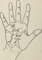 Picture 24 of 56 from Cheiro's language of the hand : complete practical work on the sciences of cheirognomy and cheiromancy, containing the system, rules, and experience of Cheiro [pseud.] fifty-five full-page illustrations, and over two hundred engravings of lines, mounts, and marks (1900), leaf 181